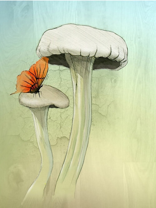 Pilz mit Schmetterling
