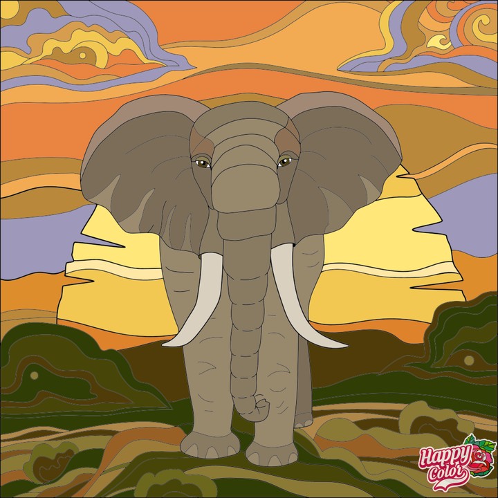 Elephant