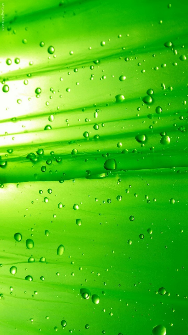 Drops of water