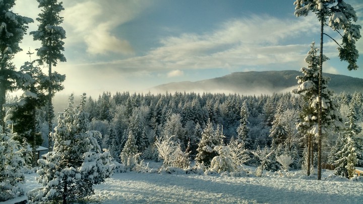 Winter