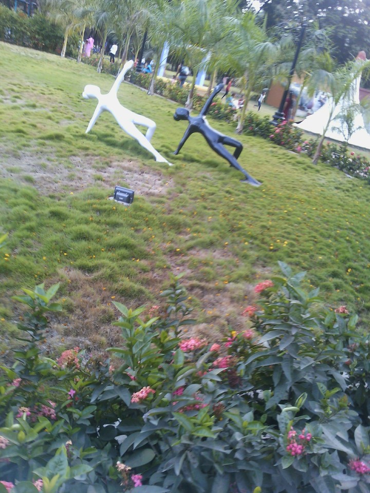 garden