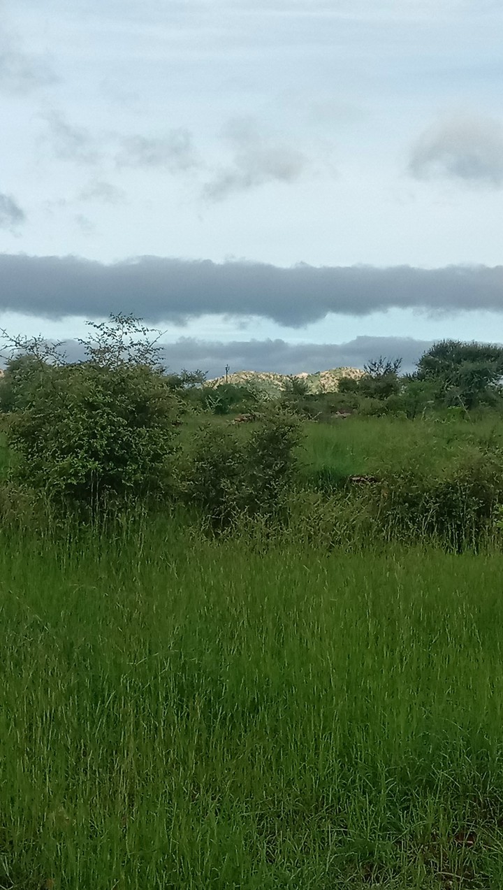 green land