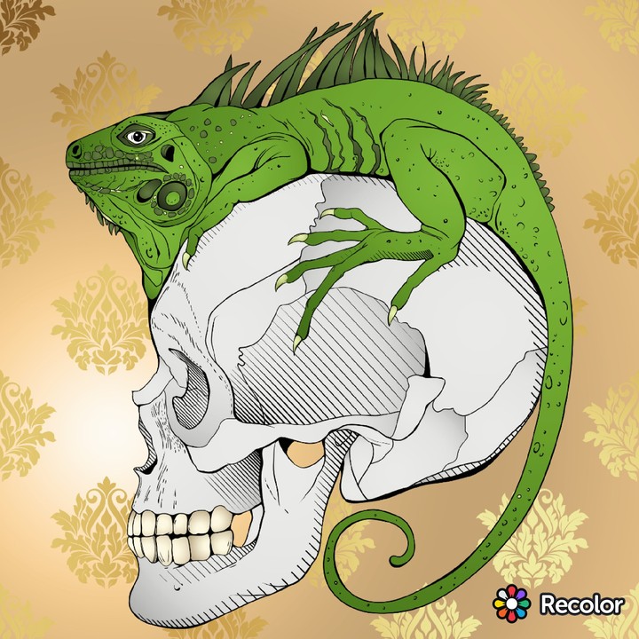 Iguana and 