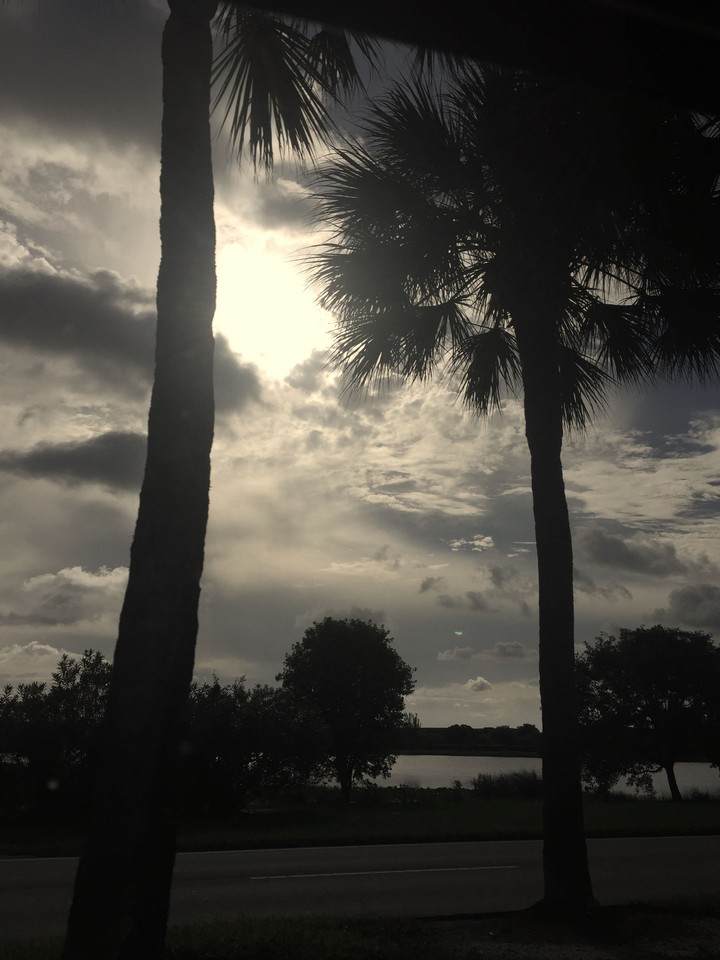 The Sun's Brightness