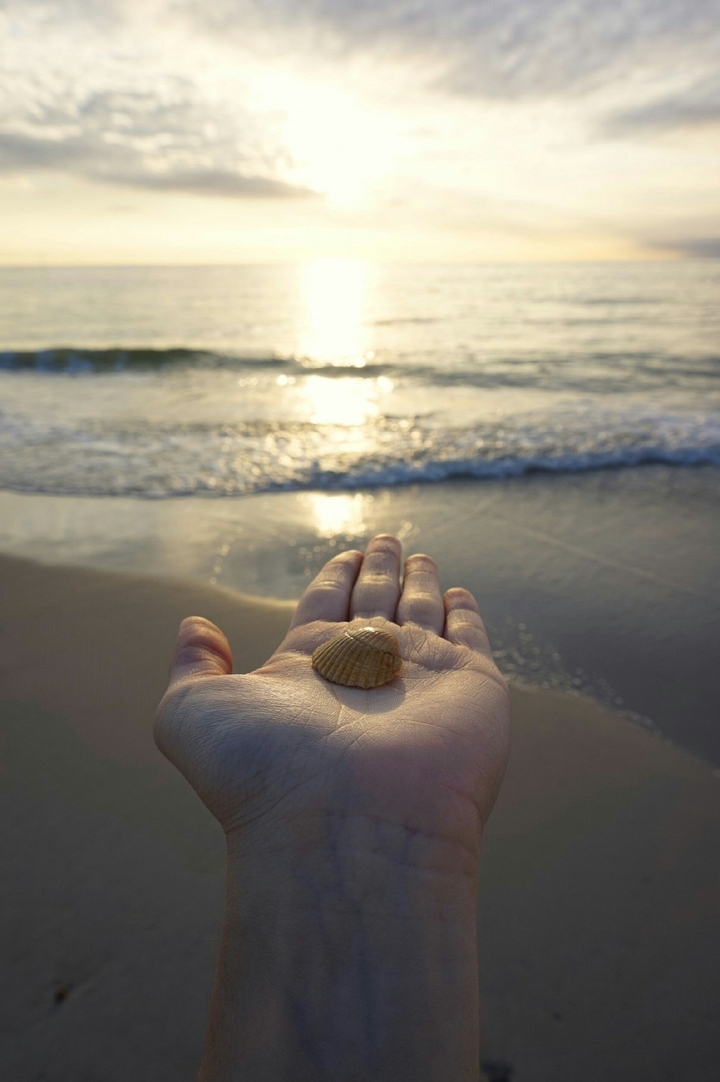 Shell