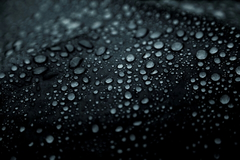 Beauty of the Dark.....