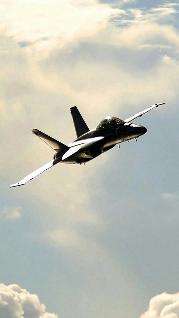 Hornet