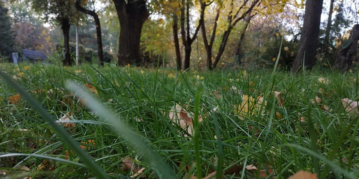 осень