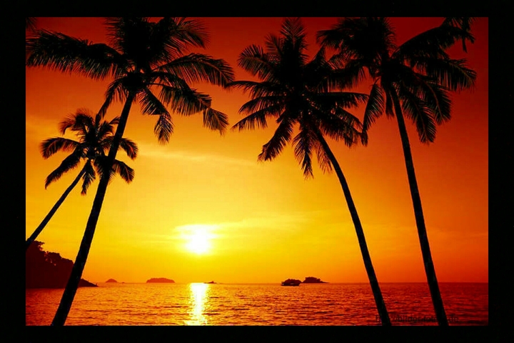 sunset ☉