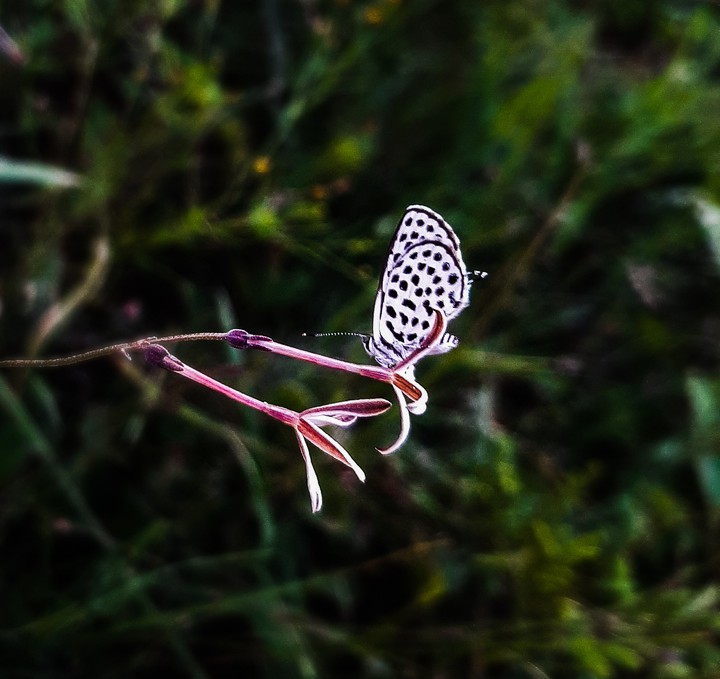 Your wings already exist all you have to do is fly