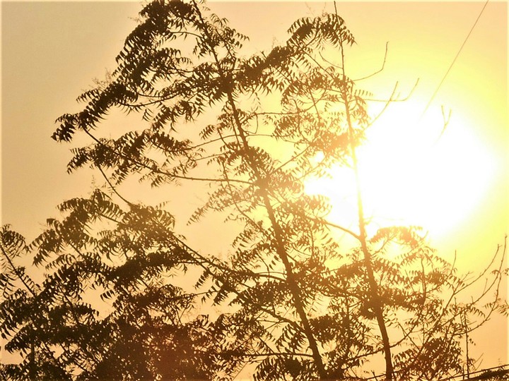 Sunset