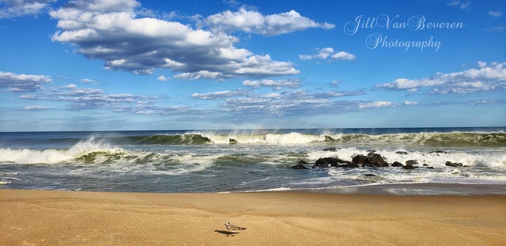 Like A Painting....