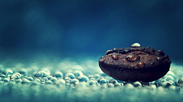 coffee bean