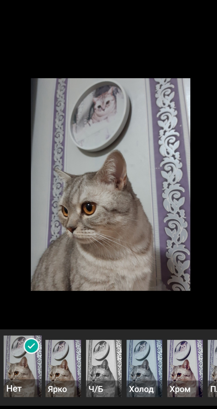 Джемик