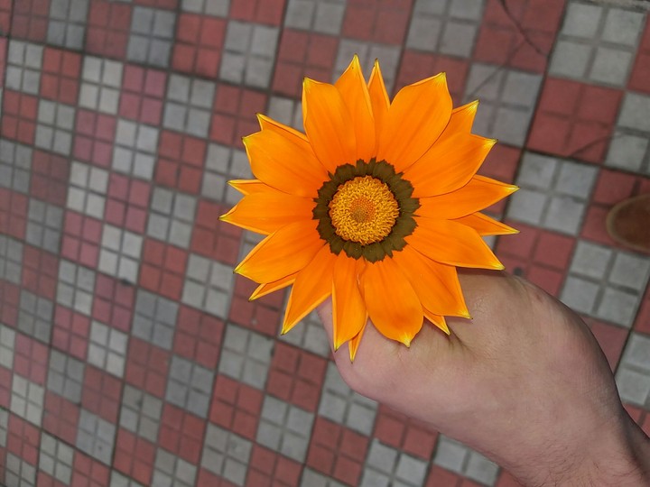 flor