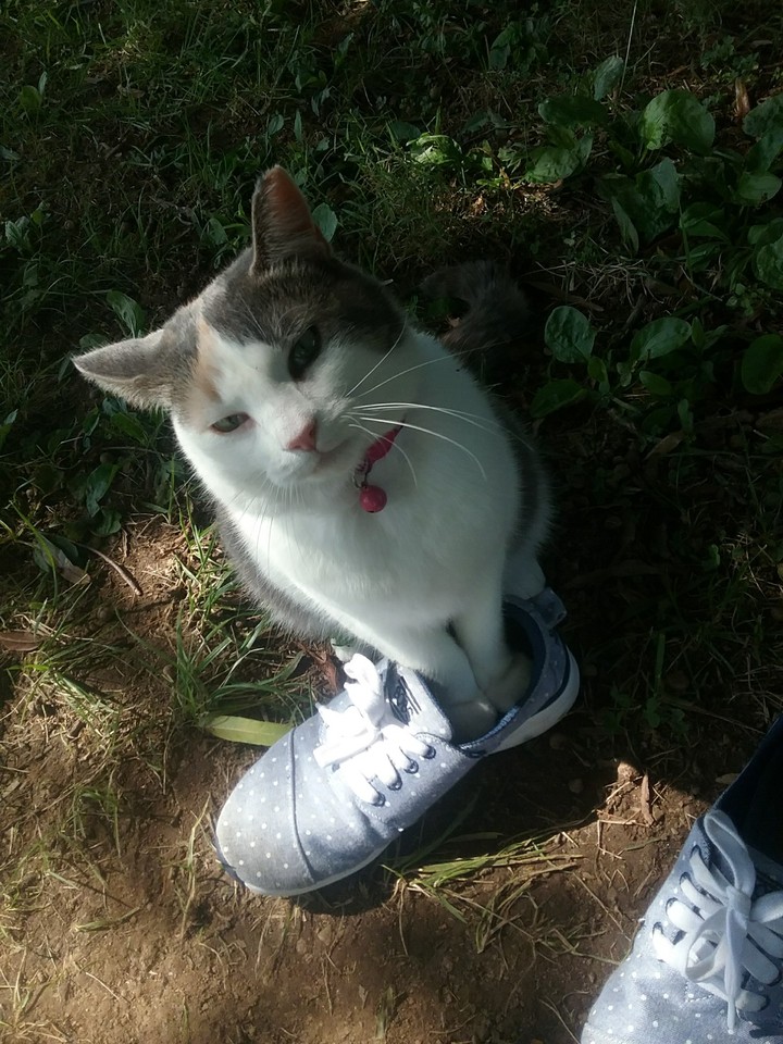 It's mine now