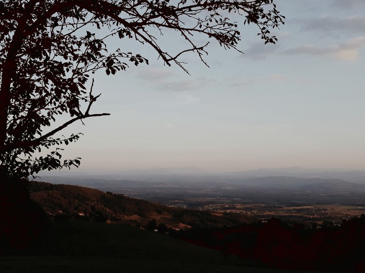 view