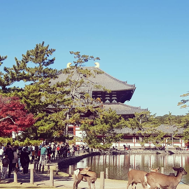 nara