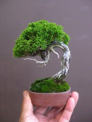 ??