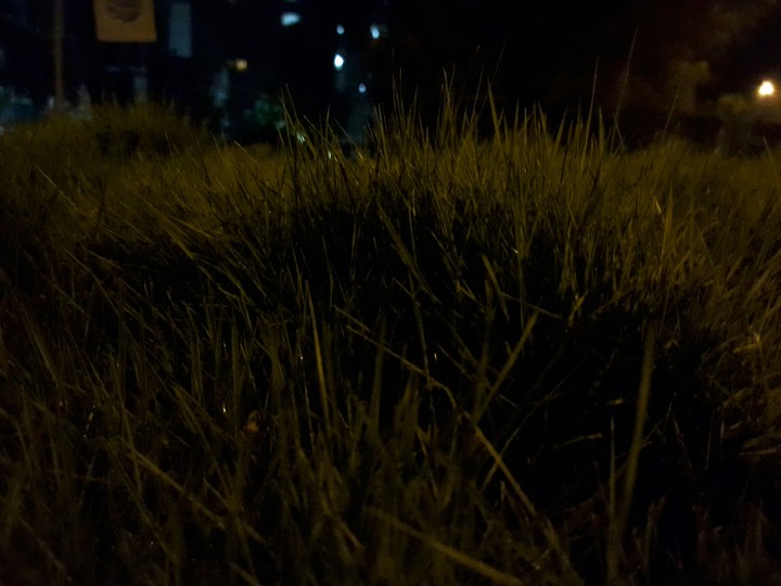night  green