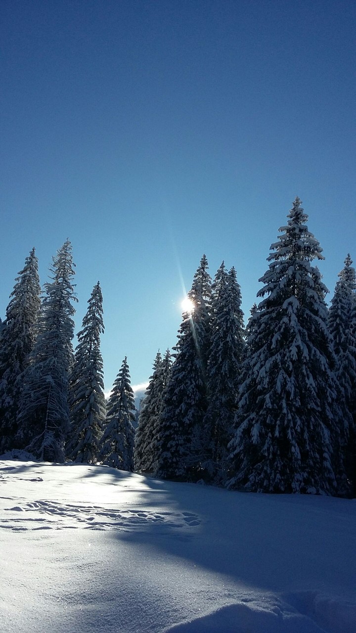 winter