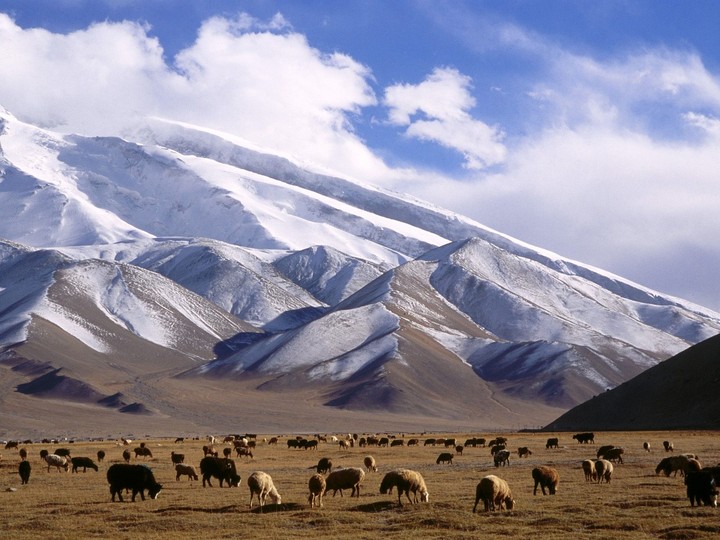Muztagh Tower Peak, Xinjiang Province, China