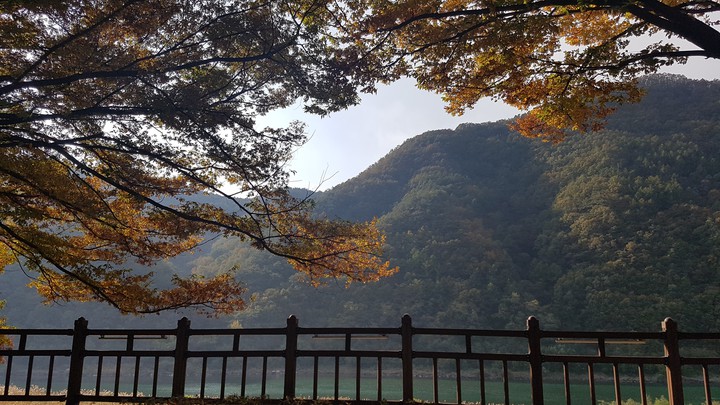 가을