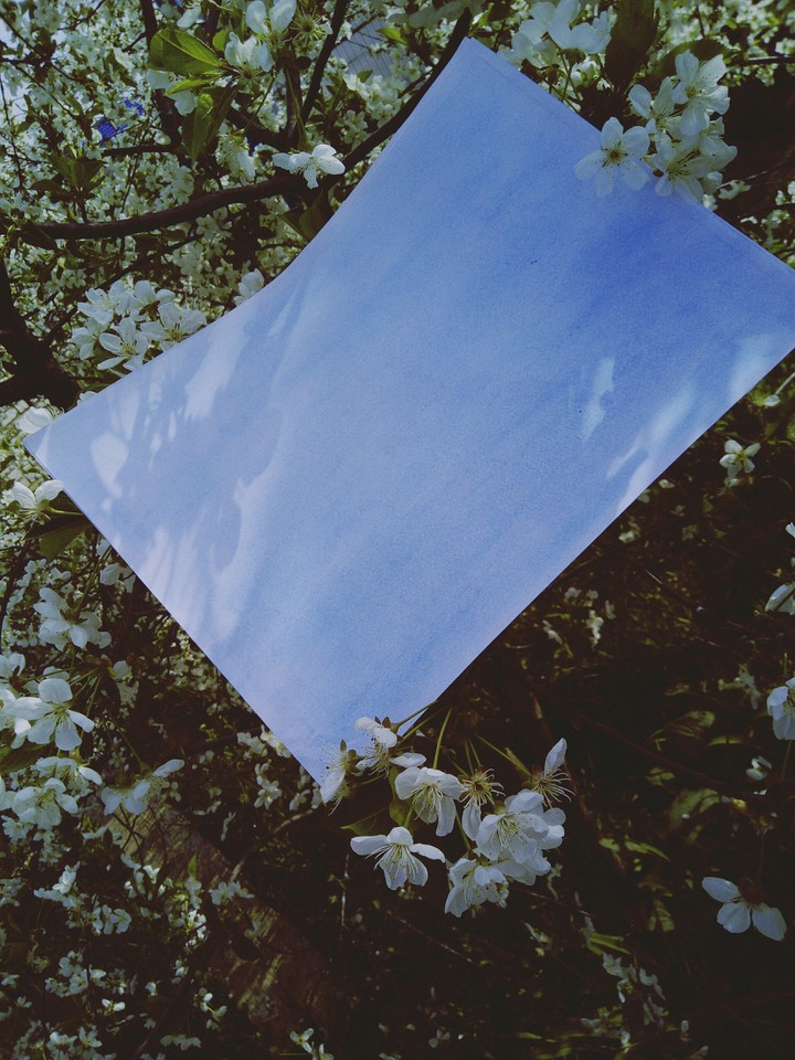 sky