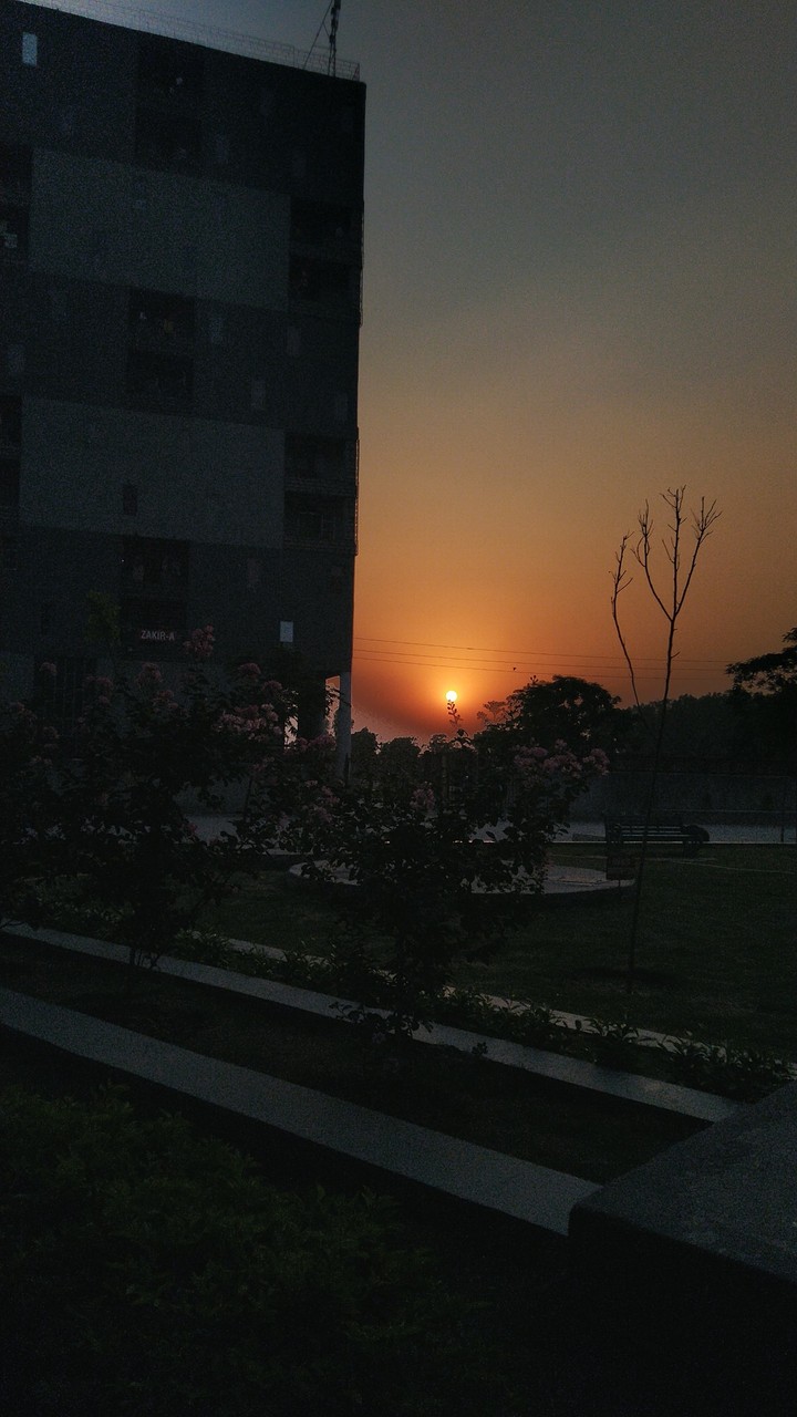 sunset