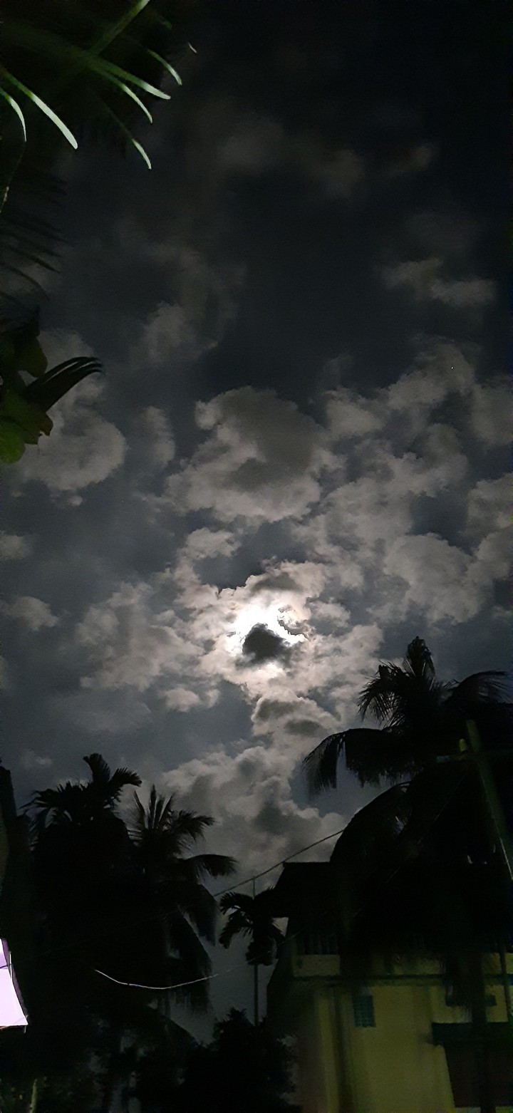Moon