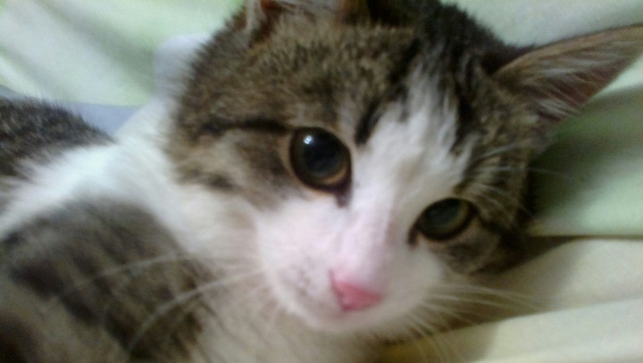 itsmyheart