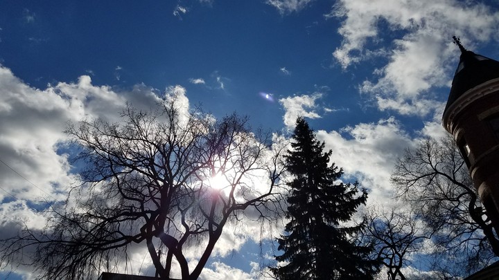 Winter afternoon