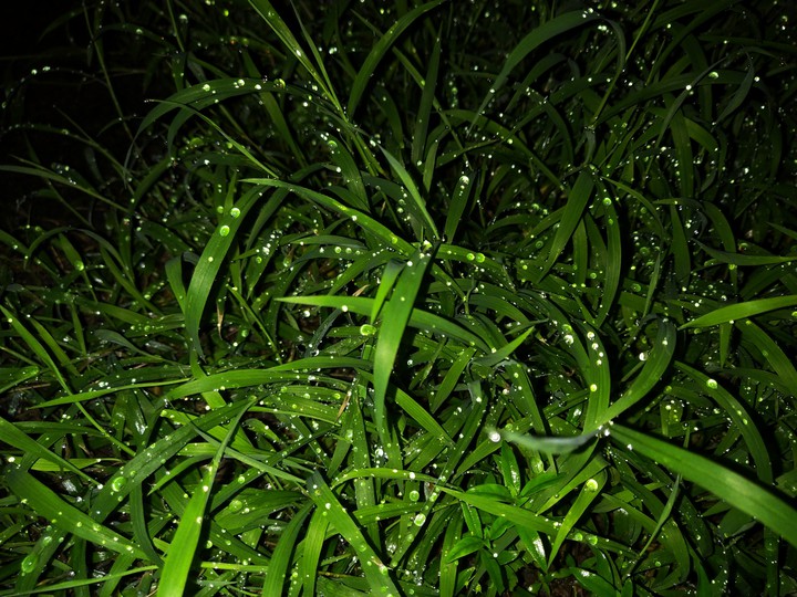 Diamond in green