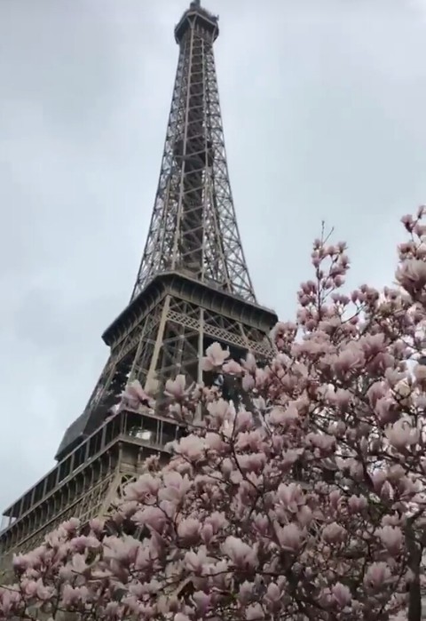 la tour Eiffel