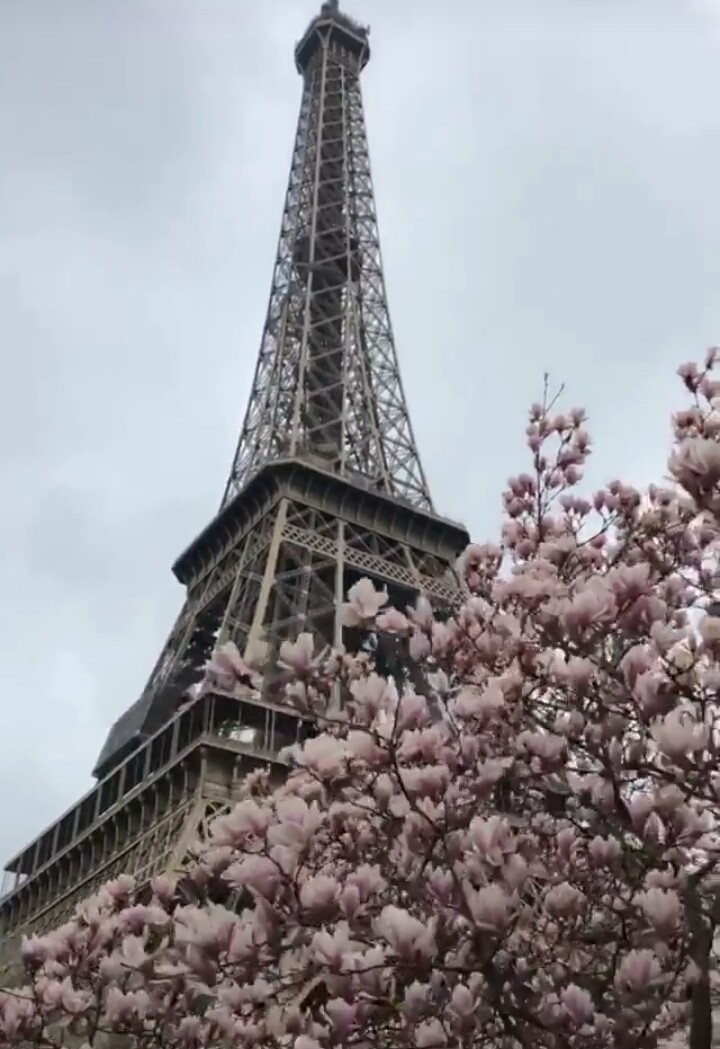 la tour Eiffel