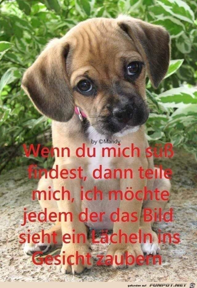 ❤