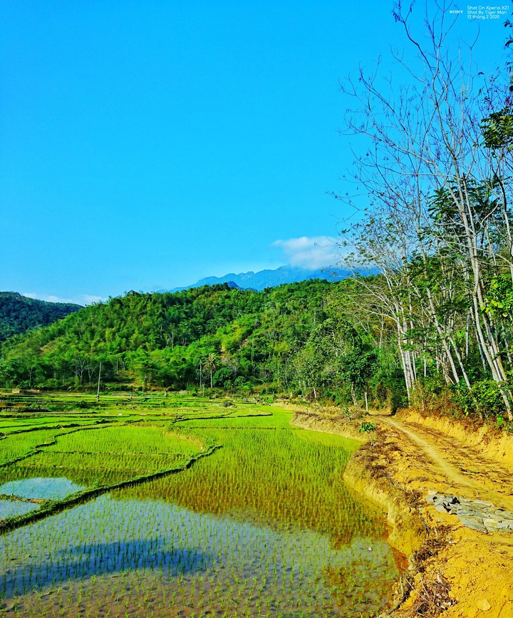 Highland - Vietnam