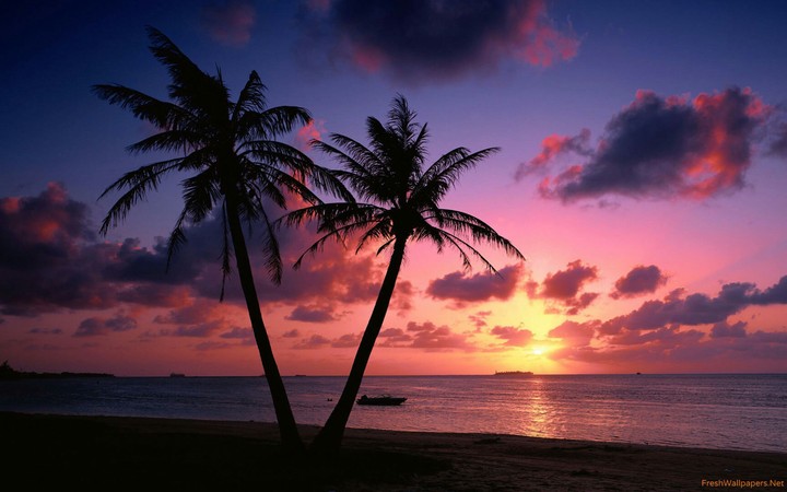 Beach at sunset