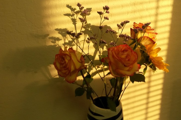 Fall Flowers