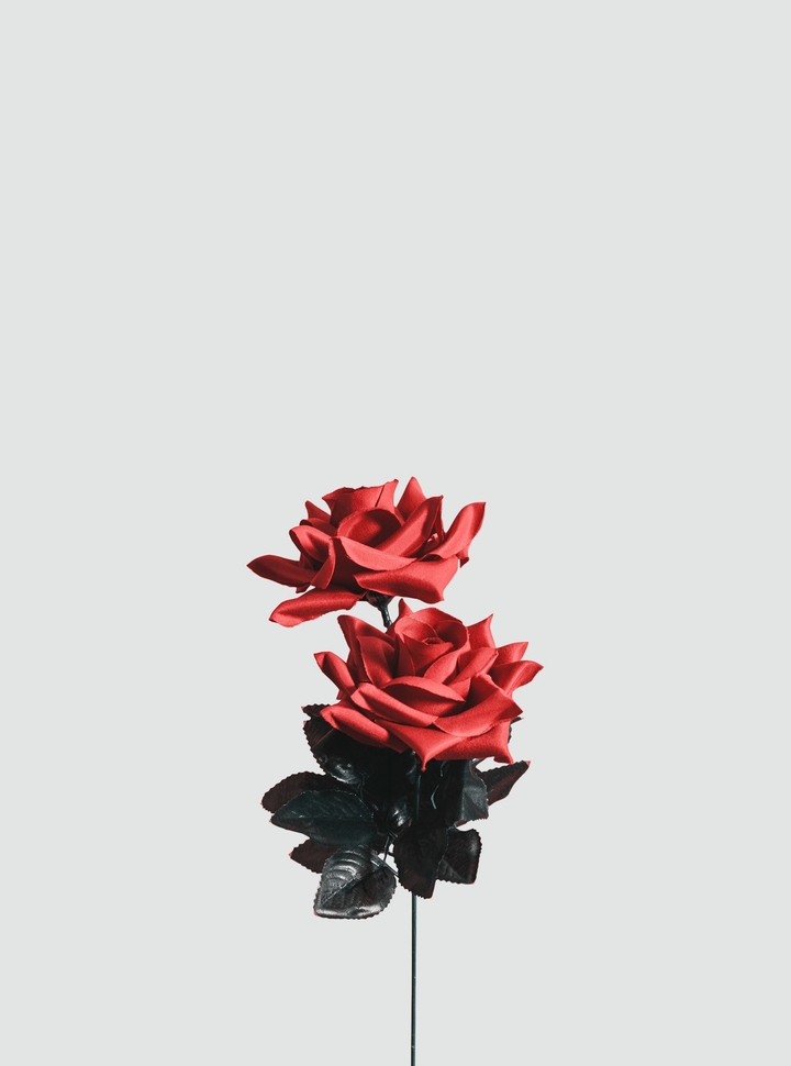 چه گلی