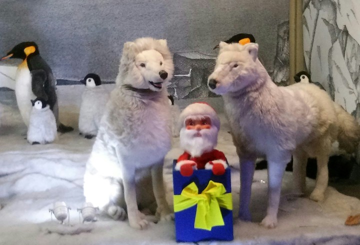 little santa and wolfs