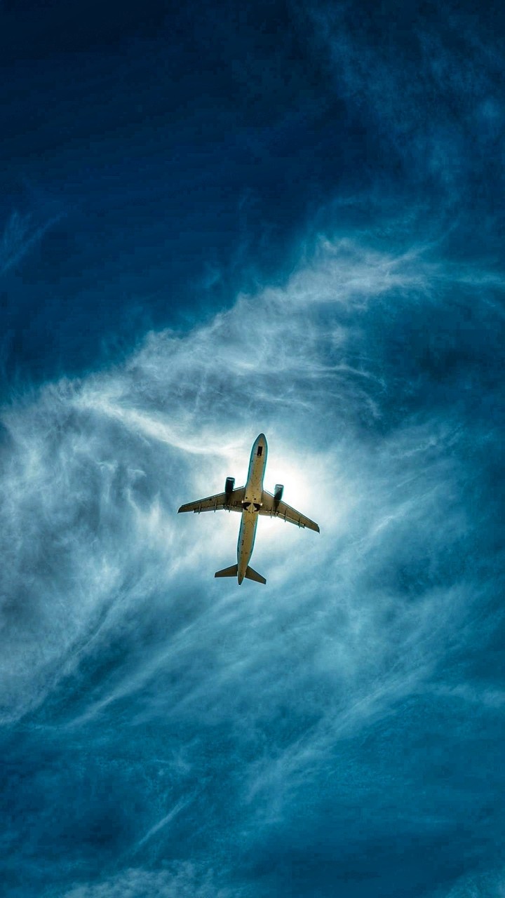 fly