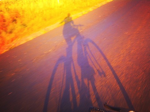 lato