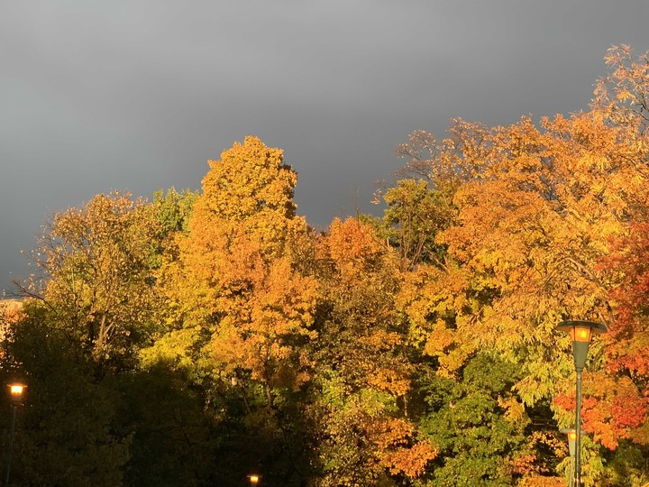 Fall