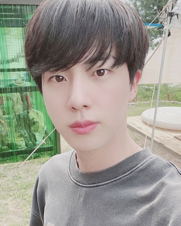 방탄의 맏형 진 ?