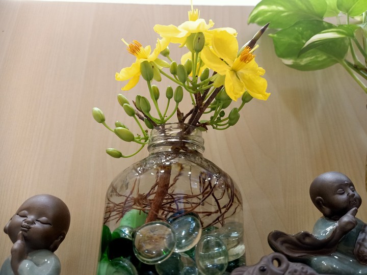 Happy Chinese New Year