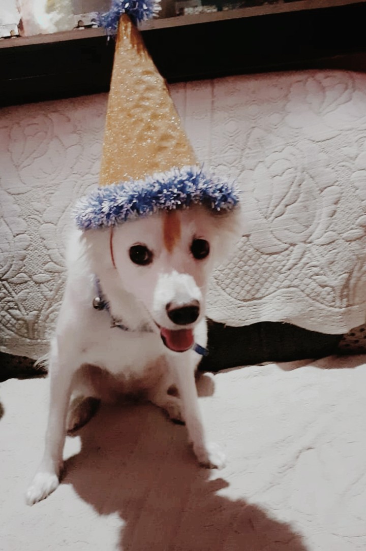 lucy birthday