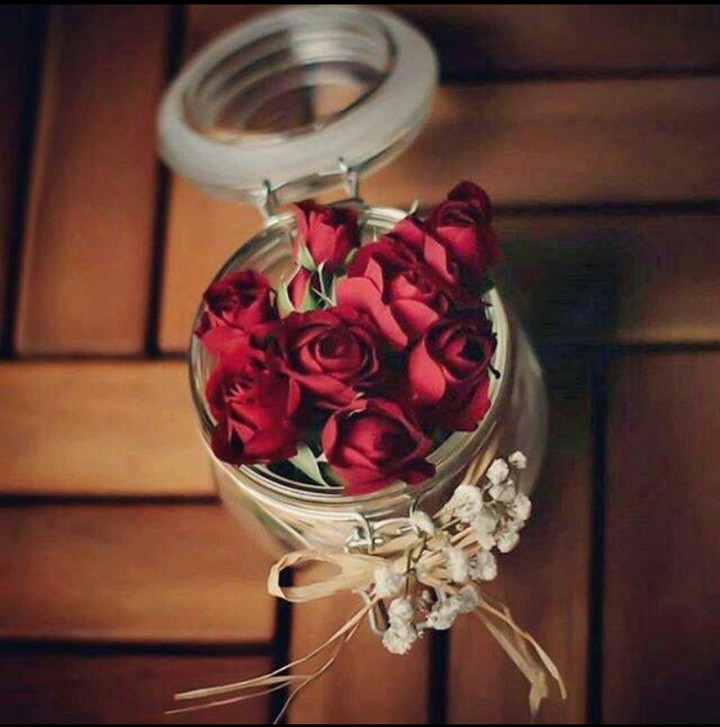 Roses