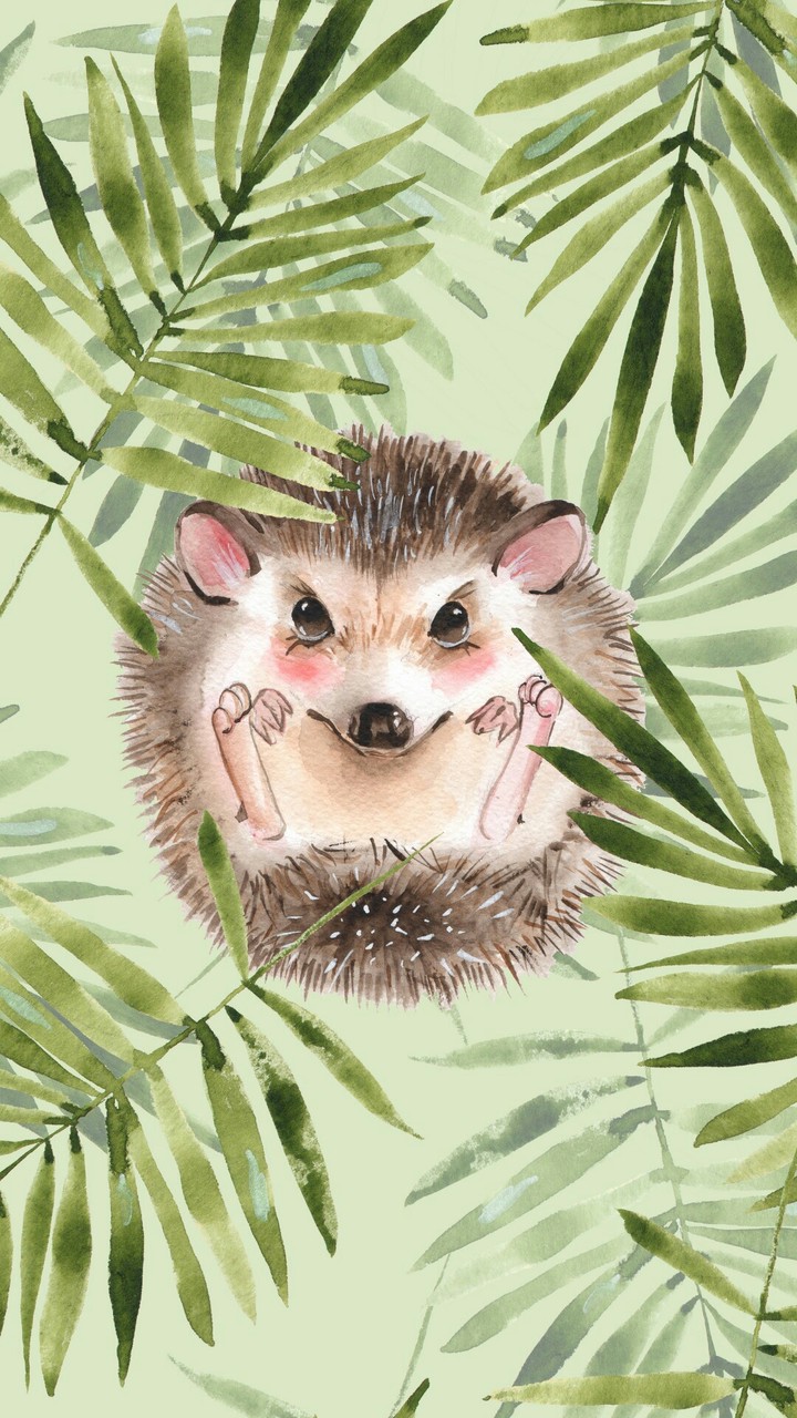 hedgehog