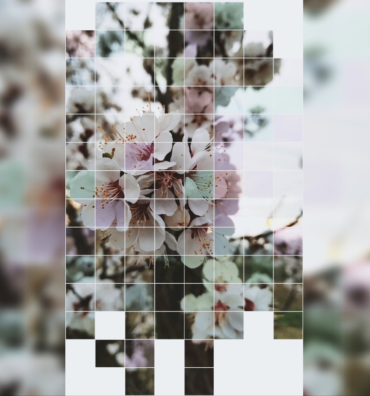 Spring is in the air
